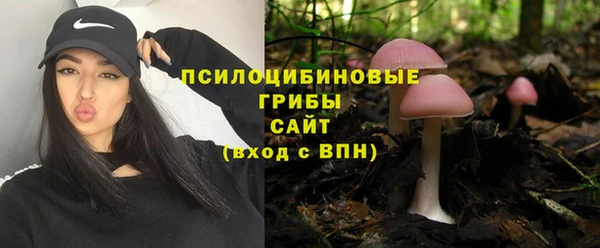 a pvp Вяземский
