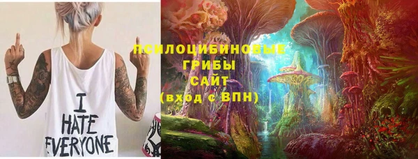 a pvp Вяземский