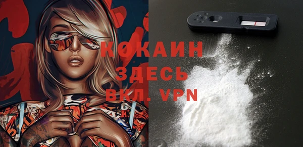 тгк Гусь-Хрустальный