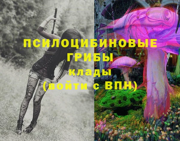 стаф Горняк