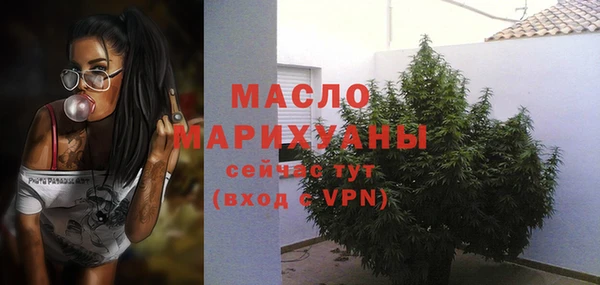 стафф Гусев