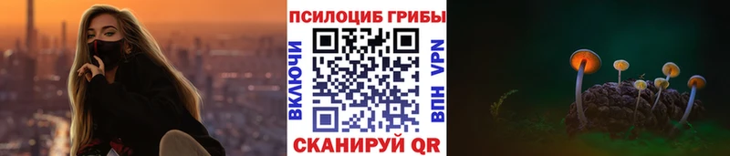 где найти   Дагестанские Огни  Псилоцибиновые грибы мицелий 